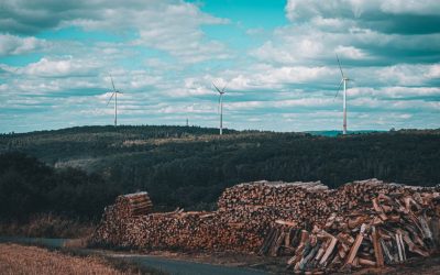 3: Driving growth and innovation | EnergyTransition.org