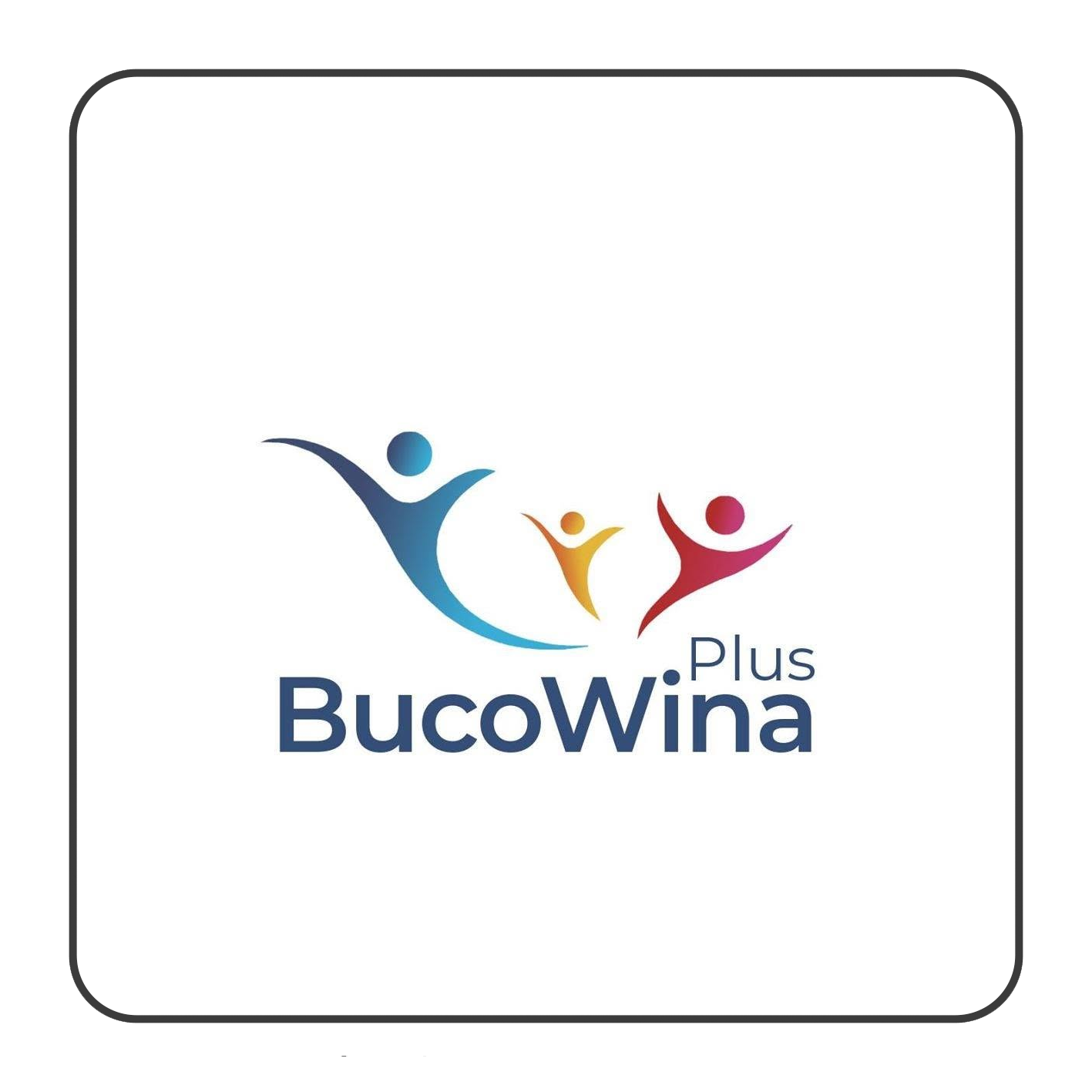 Plus Valoare Bucovina SRL logo