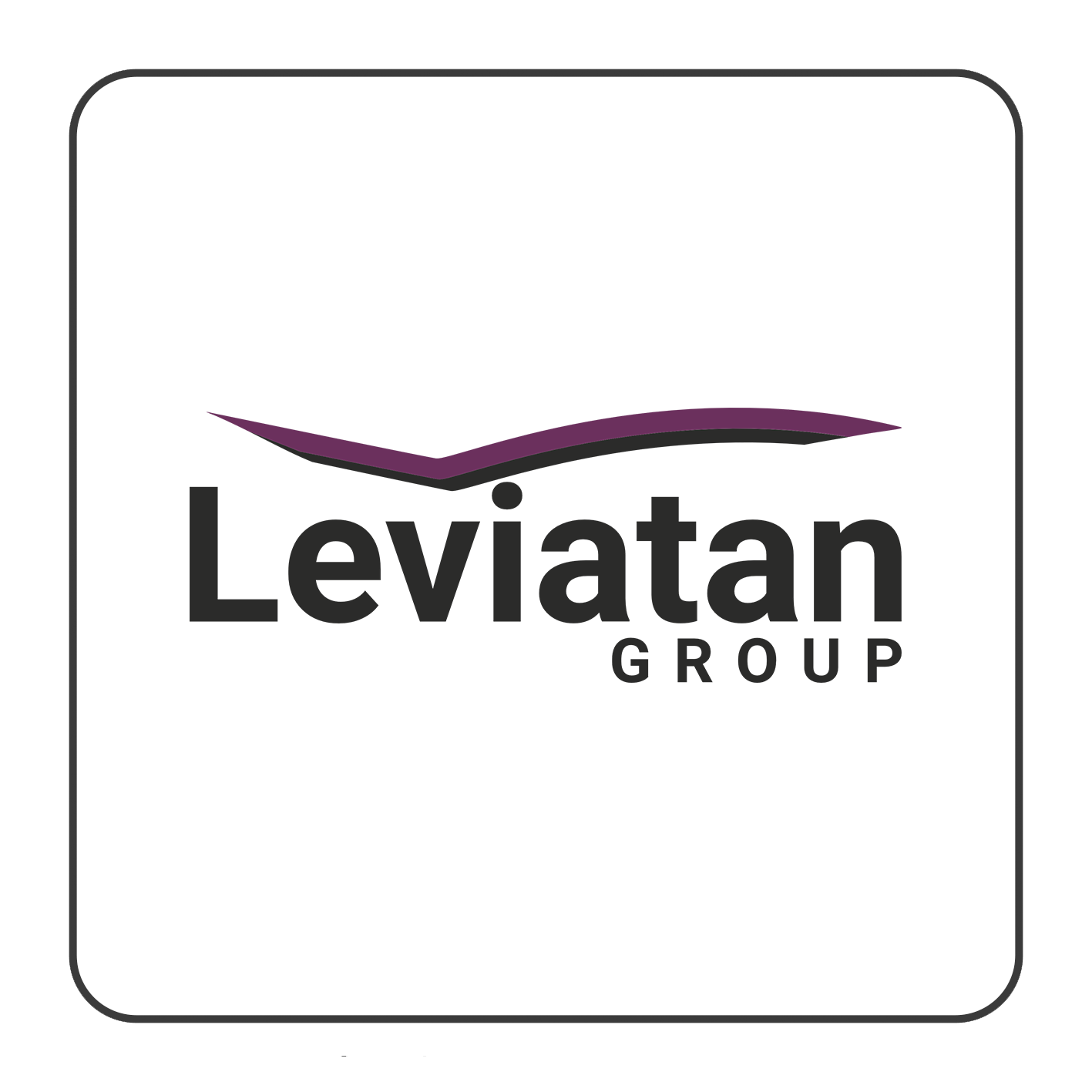 Leviatan Group logo
